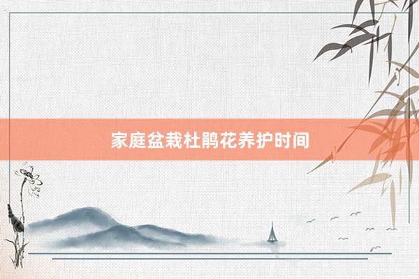 家庭盆栽杜鹃花养护时间