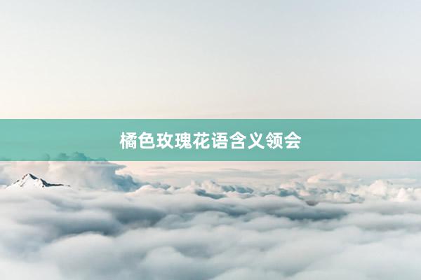 橘色玫瑰花语含义领会
