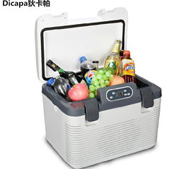 狄卡帕PAS 19L食品保鲜恒温箱 深圳冷温库保鲜新标杆，诚招合作伙伴