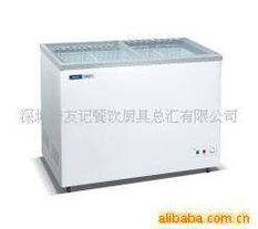 深圳市友记餐饮厨具总汇保鲜冷藏设备产品列表
